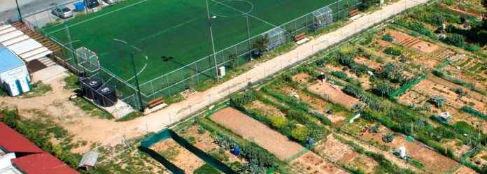 adn_asirmatos_ekswteriki02